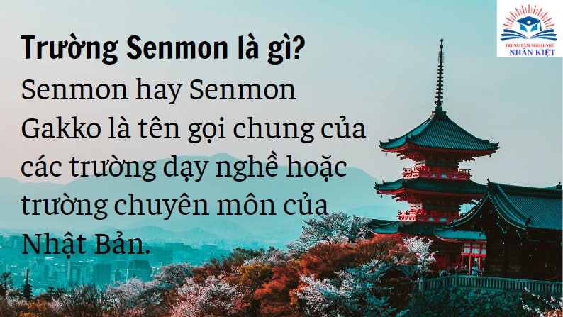 Trường Senmon là gì? Các lợi ích khi chọn học trường Senmon 94 z4280525149641 1849d7f551b800de8c6f72c89851d0b6