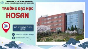 Đại học Hosan - Du học Ánh Dương