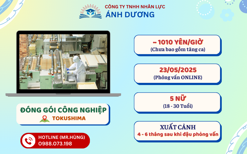 Đóng gói công nghiệp - Tokushima